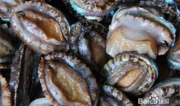 鲍鱼视频,视频带你领略海洋珍馐的魅力